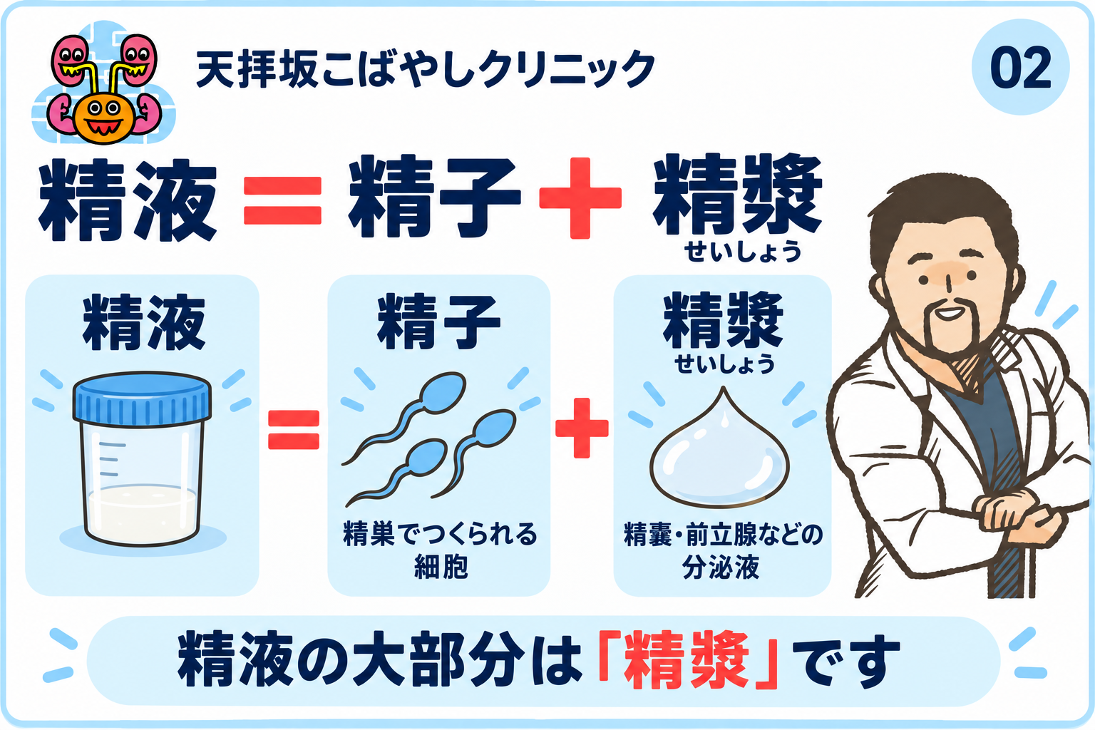 精液＝精子＋精漿の図解.png